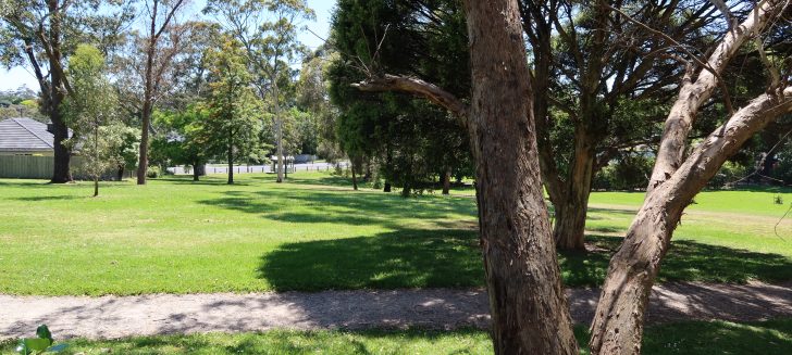 Walking trail in park with green fields and trees