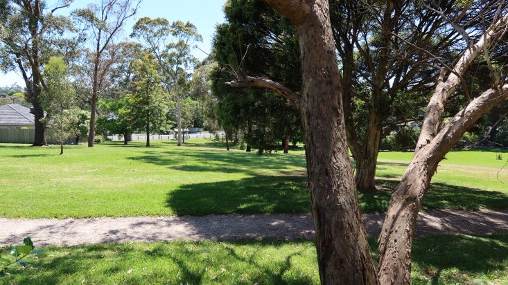 Walking trail in park with green fields and trees