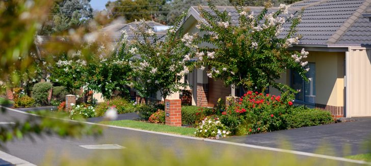 A treelined street with houses in a row