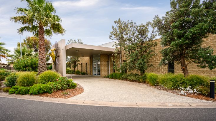 Light brown brick building with greenery and a palm tree to the left