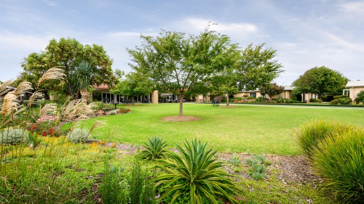 Green field with large tree in centre, Star of the Sea community centre is in the background.