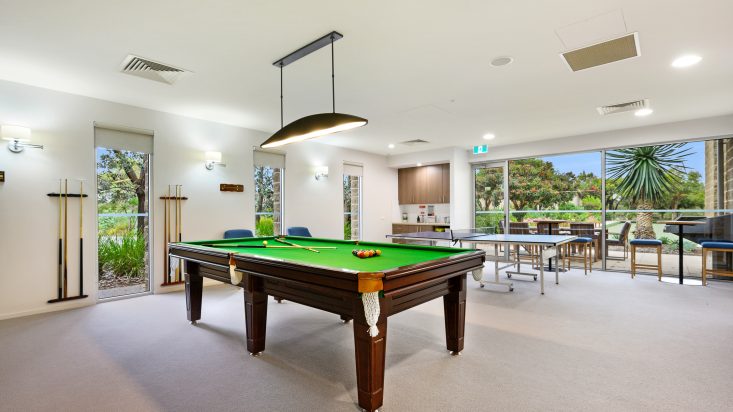 Pool table with dark oak base in foreground, tennis table in background with greenery outside the windows.