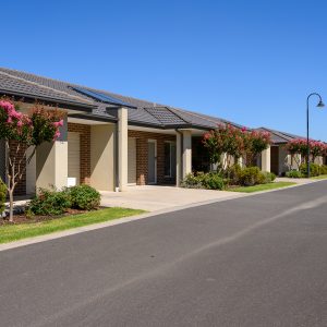 Cream and brick houses with grey roofs, trees in front yard have pink flowers