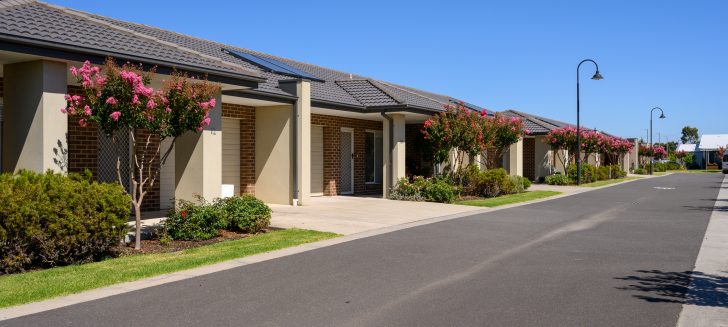 Cream and brick houses with grey roofs, trees in front yard have pink flowers