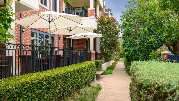 Photo of umbrellas next to a walkway with green hedges