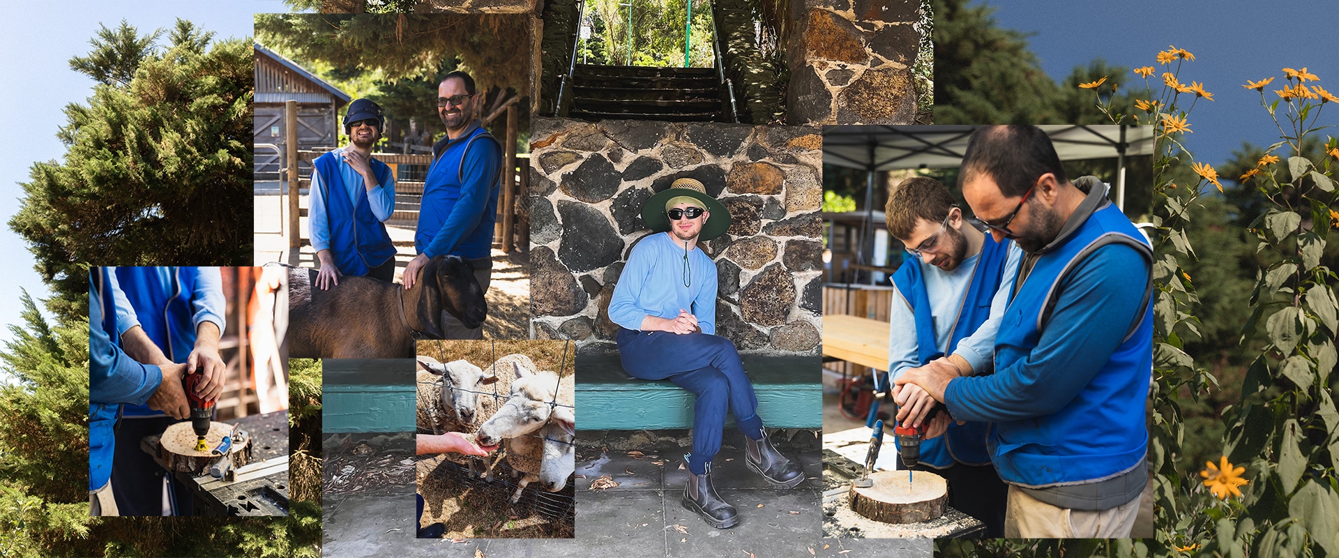 A collage of photographs from Collingwood Children's Farm and a young man