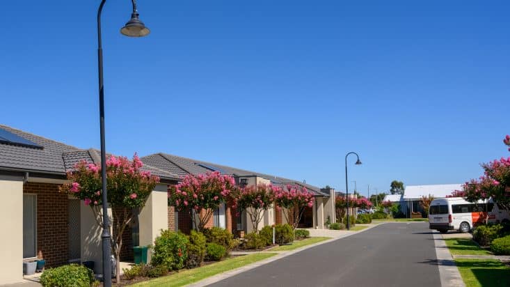 View of street with pink flowers