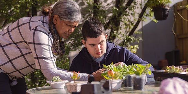 A staff member and a disability client planting succulents together