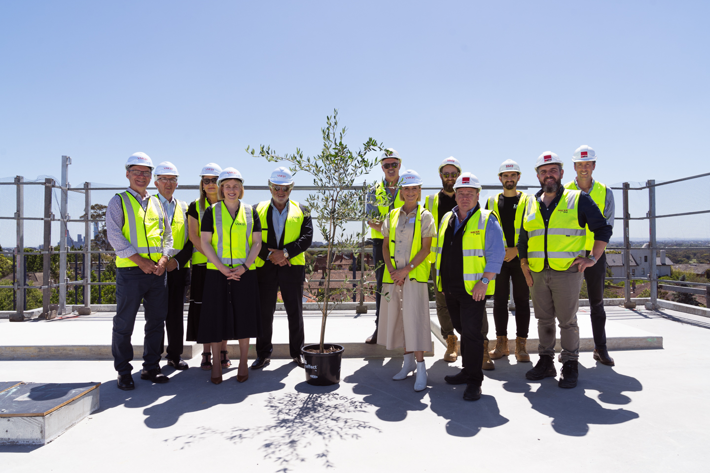 A group of people wearing high vis vests stand on top of a building surrounding an olive tree in a pot