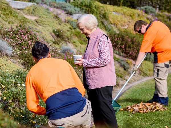 An older woman offering two gardeners a cup of tea.