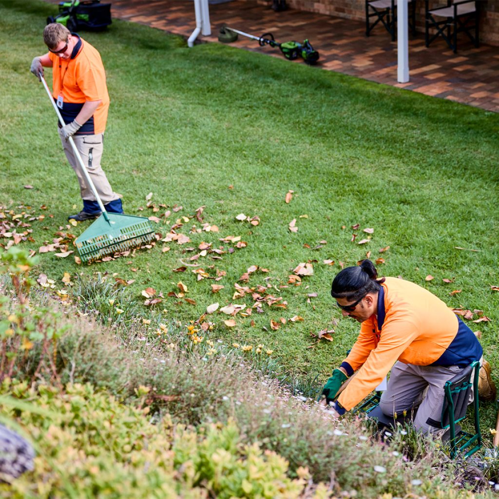 Two gardeners raking leaves.