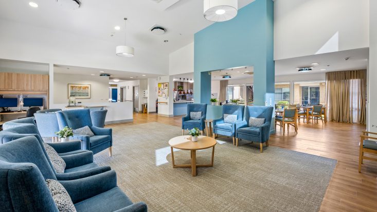 A living room with a blue accent wall and blue arm chairs.