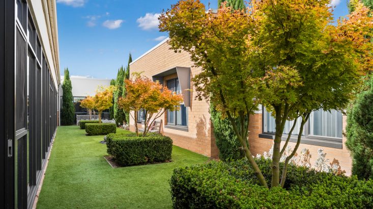 Manicured grass and bushes surrounding trees in a small enclosed garden.