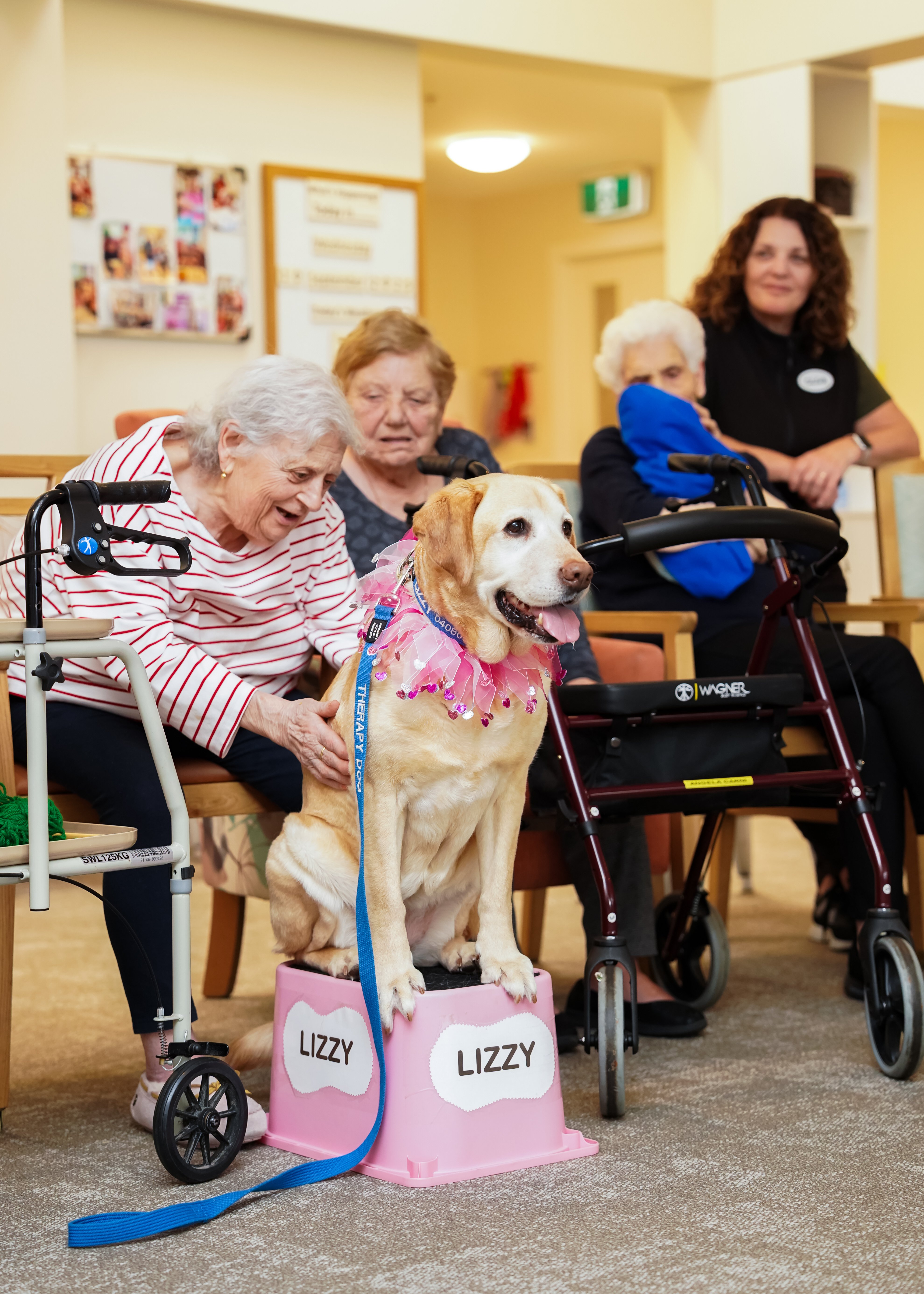 Lizzy delights aged care residents