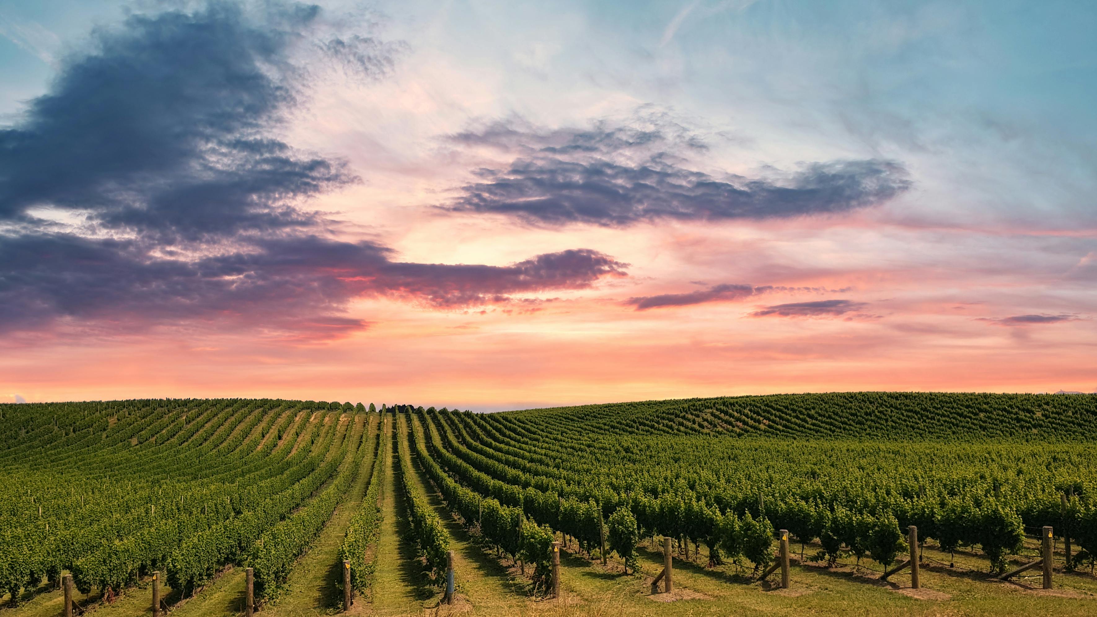Yarra Valley retreat (Yarra Glen)