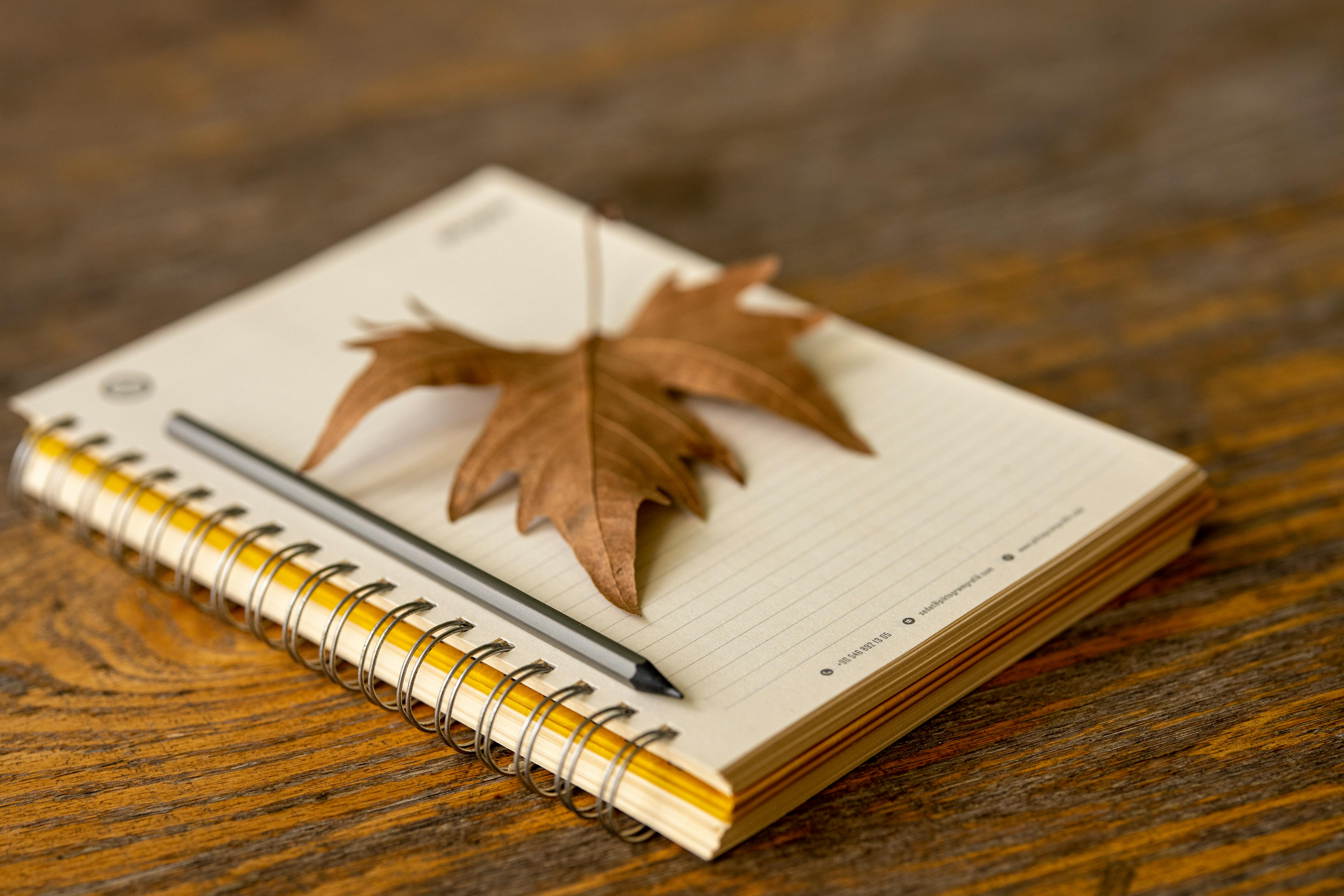 Nature journaling (Olinda)